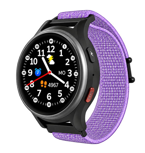 Anio 6