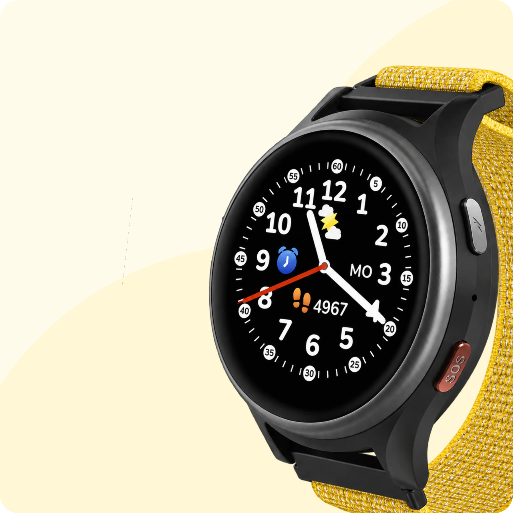 Anio 6